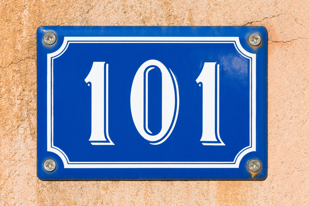 AmRisc 101 AMR101